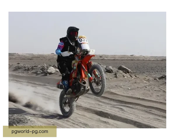 极速风暴：挑战极限的摩托车赛