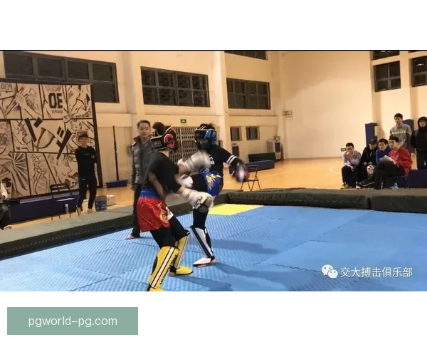 综合格斗精彩对决：挑战之路